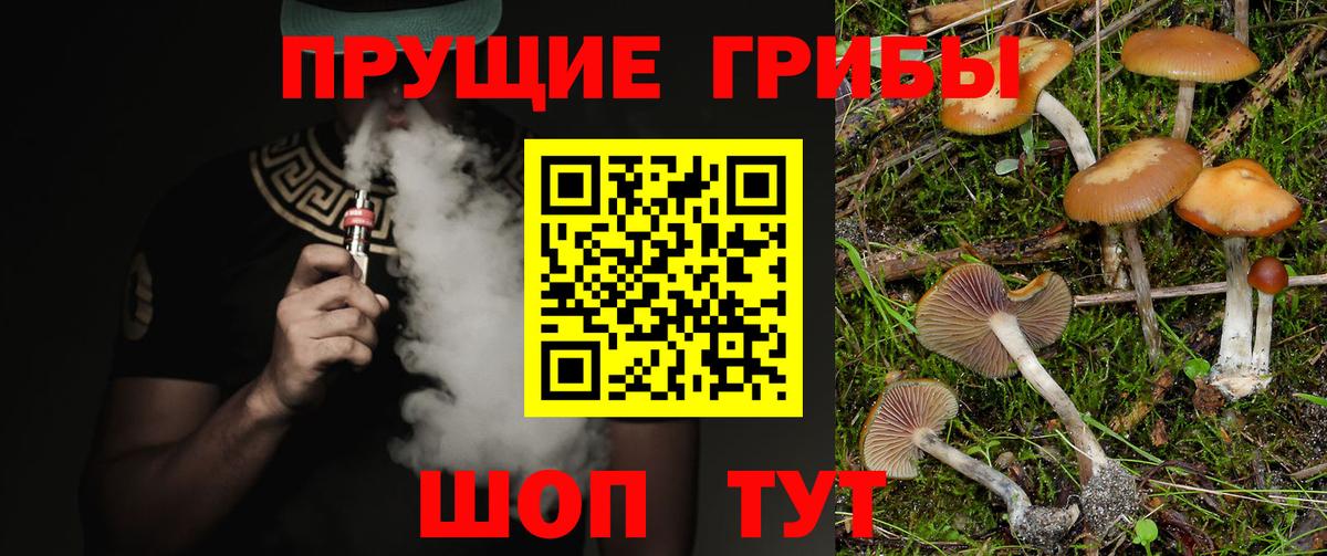 Галлюциногенные грибы MAGIC MUSHROOMS Лосино-Петровский